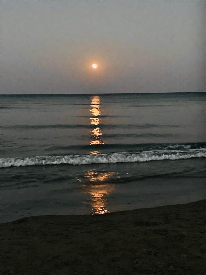 Bali Suites 404 لارنكا المظهر الخارجي الصورة